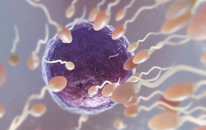 Fertilidad